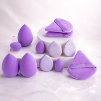 Makeup Sponge Set